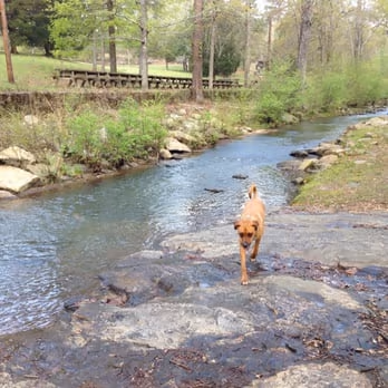 Dog Park at Flatrock Park photo 2